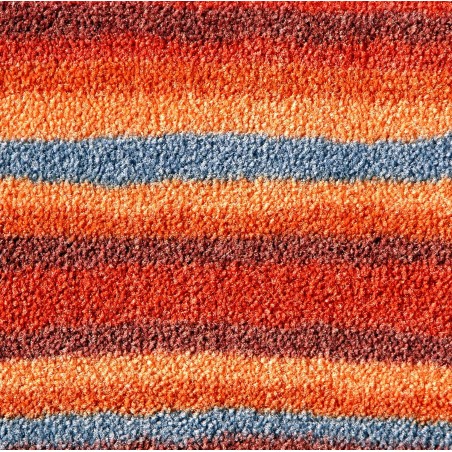 Dekor Tapis attrape-saleté   75x100 cm   (13 frôler)